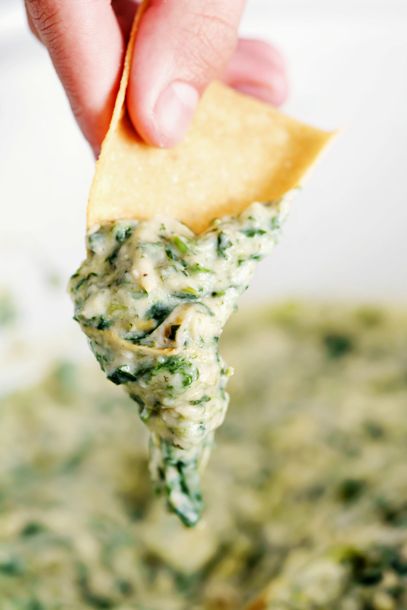 Slow Cooker Spinach Dip Real Food by Dad
